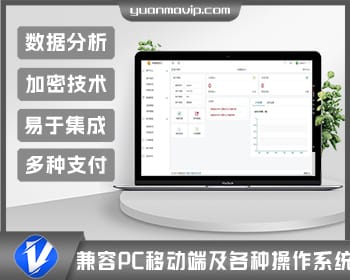 价值数千的最新未速支付系统免授权版源码